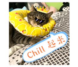 553998439