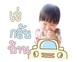 55402423
