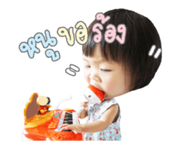 55402427