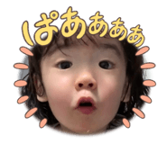 554040290