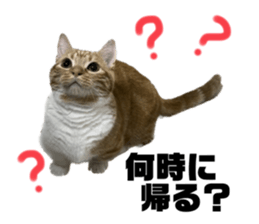 554040909