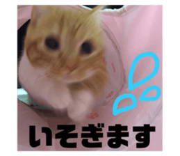 554040910
