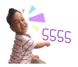 55405004
