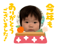 554061345