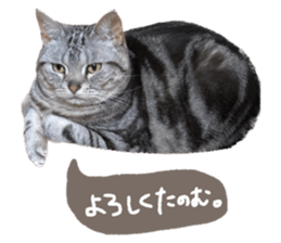 554065697