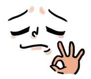 55407520