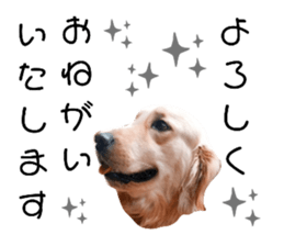554084306