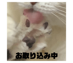 554111870