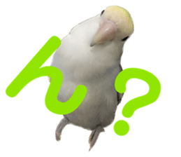 554112375