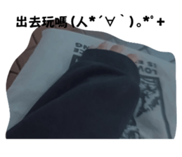 554116230