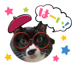 554127066