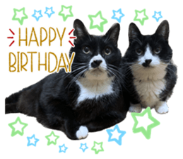 554127095