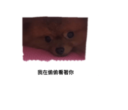 554139208