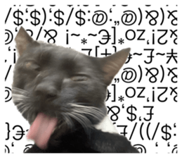 554201148