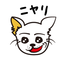 554227