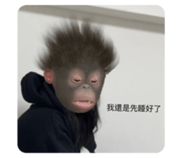 554264866