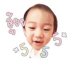55427915