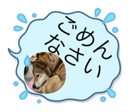 554279458