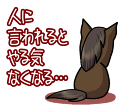 5543051