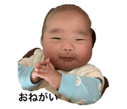554323750