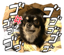 554333602