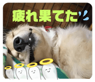 554334775