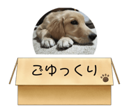 554334777