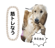 554334787