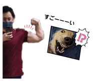 554334800