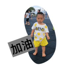 55435020