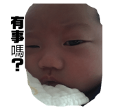 55435023