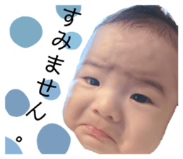 554350247