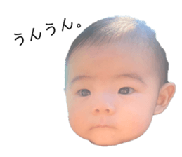 554350256