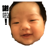 55435026