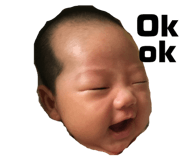 55435027
