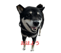 554389382