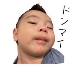 554391622