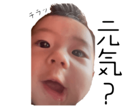 554391643