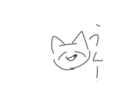 554392794