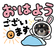554395702