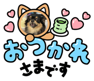 554395703