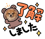 554395704