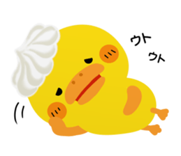 5543967