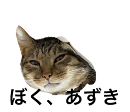 554438970