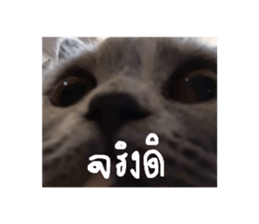 554457822