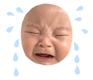 554463462