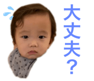 554465947