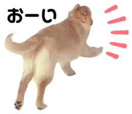 554481065