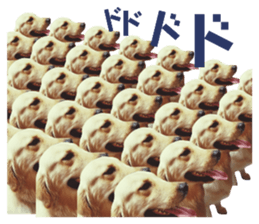 554481087