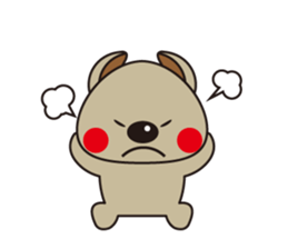 5544997